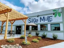Sage Mule