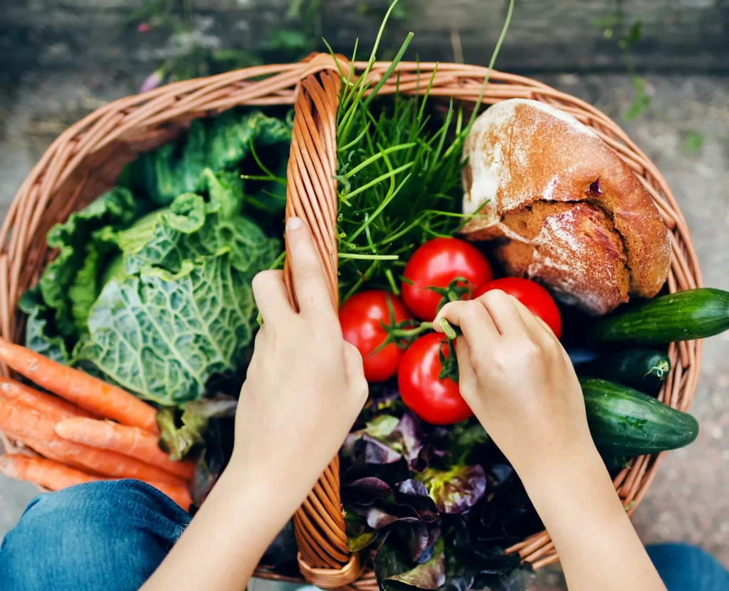 Le panier de legumes